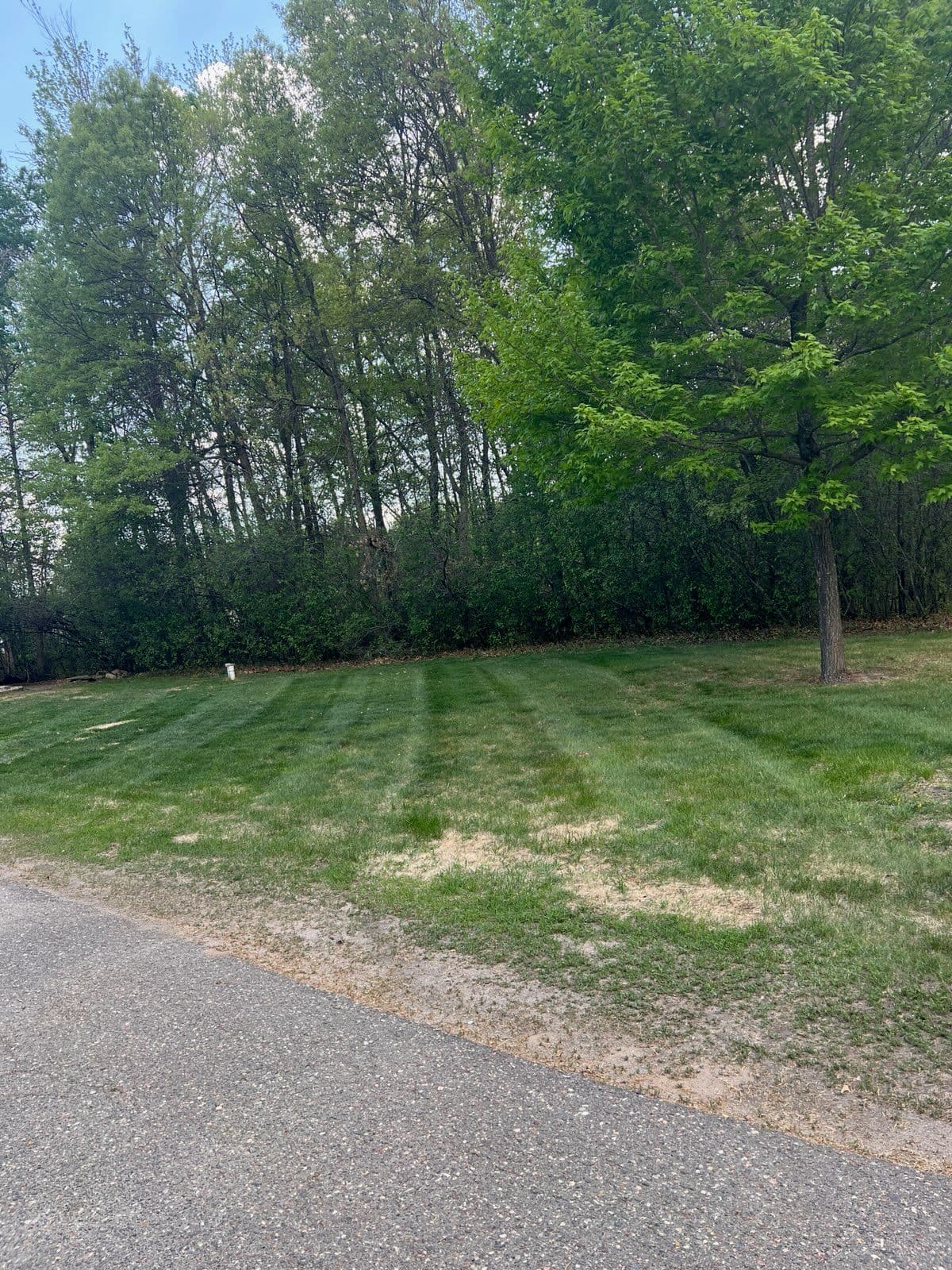 Project Transform Your Yard with Precision PM Expertise image